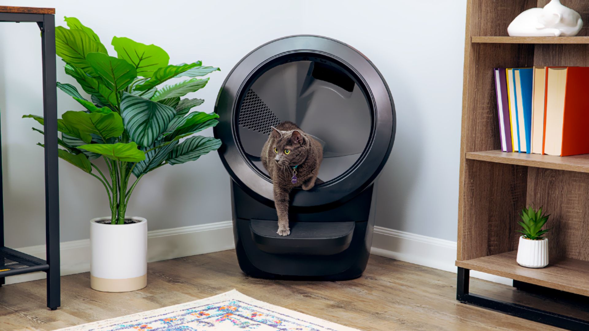 Et si la rentrée rimait avec moins de corvées ? Découvrez une litière autonettoyante intelligente pour chats signée Whisker